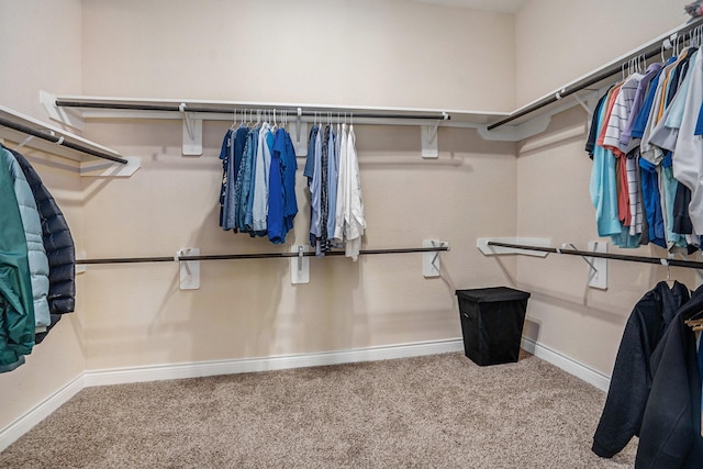 walk in closet with carpet flooring