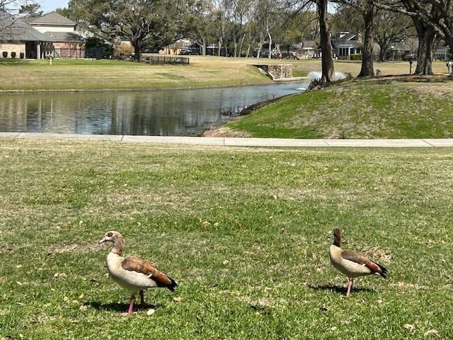 surrounding community featuring a lawn and a water view