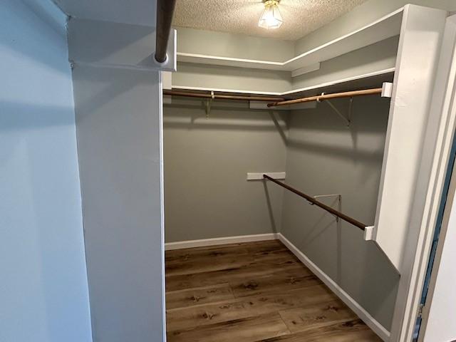 spacious closet featuring wood finished floors