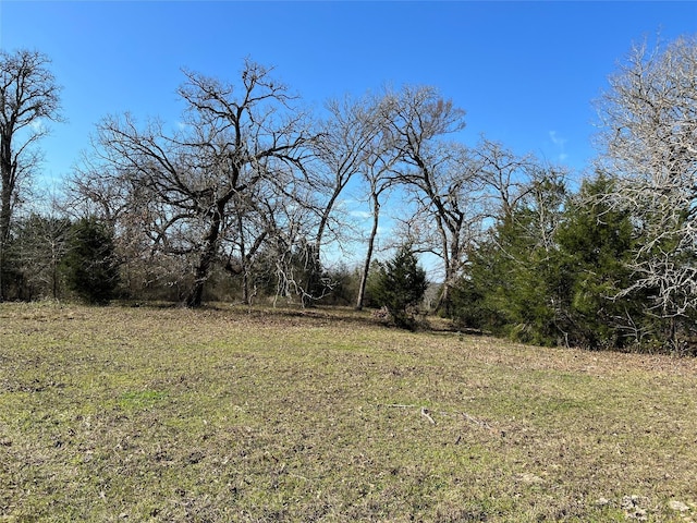 Listing photo 2 for 19285 Moriarty Rd, Richards TX 77873