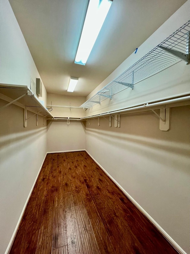 walk in closet featuring wood finished floors