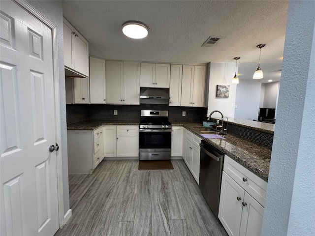 kitchen featuring visible vents, under cabinet range hood, appliances with stainless steel finishes, wood finished floors, and a sink