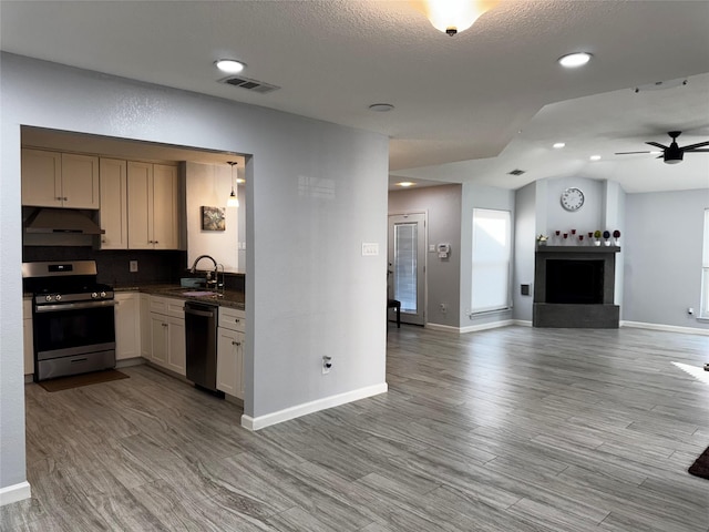 kitchen with under cabinet range hood, appliances with stainless steel finishes, wood finished floors, and a sink