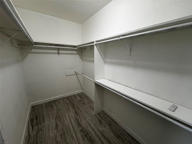 spacious closet featuring dark wood-style flooring