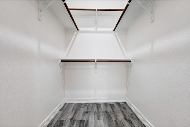 spacious closet featuring wood finished floors