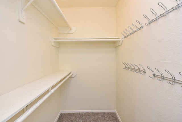 walk in closet featuring carpet flooring