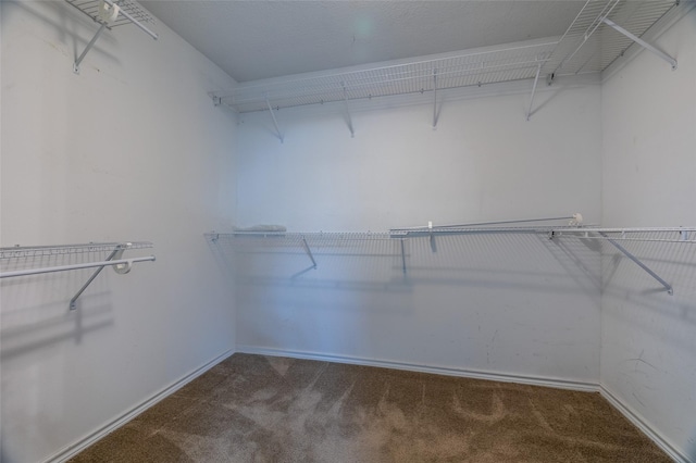 spacious closet with carpet floors