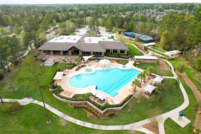 view of pool featuring a patio and a forest view