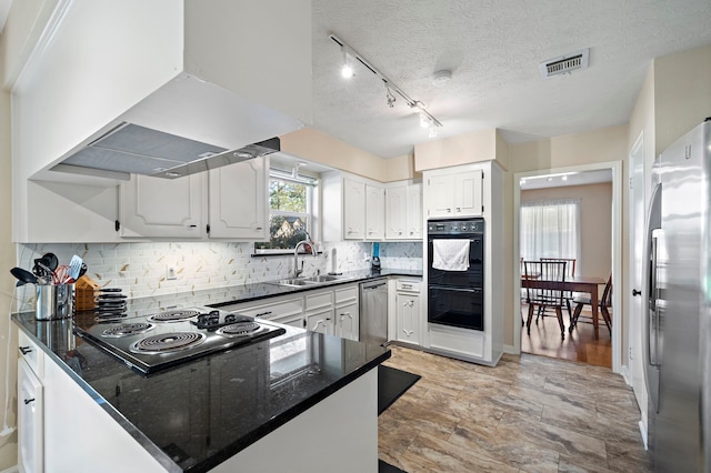 kitchen featuring visible vents, backsplash, premium range hood, stainless steel appliances, and a sink