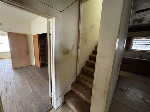 staircase featuring plenty of natural light and wood finished floors