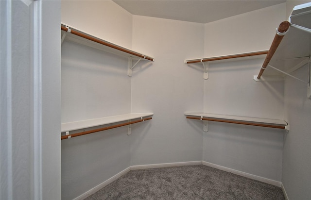 walk in closet featuring carpet flooring