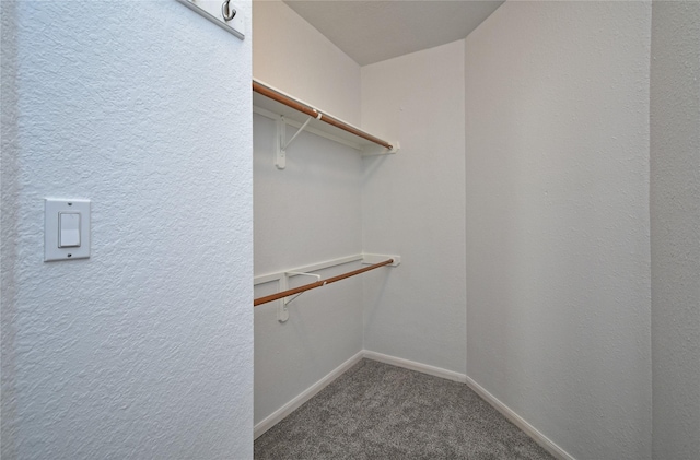 walk in closet with carpet