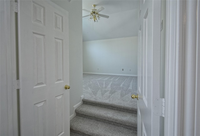 staircase featuring baseboards, carpet floors, a ceiling fan, and vaulted ceiling