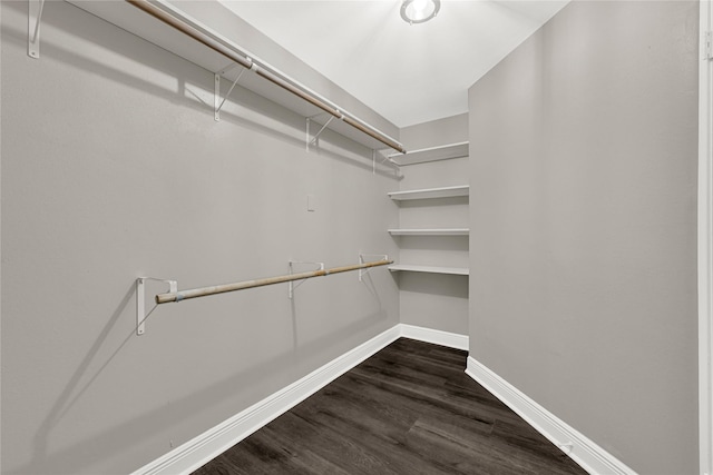 spacious closet with dark wood-style floors