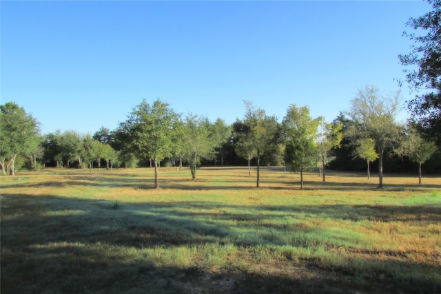 view of yard featuring a rural view