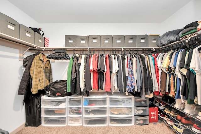 walk in closet featuring carpet