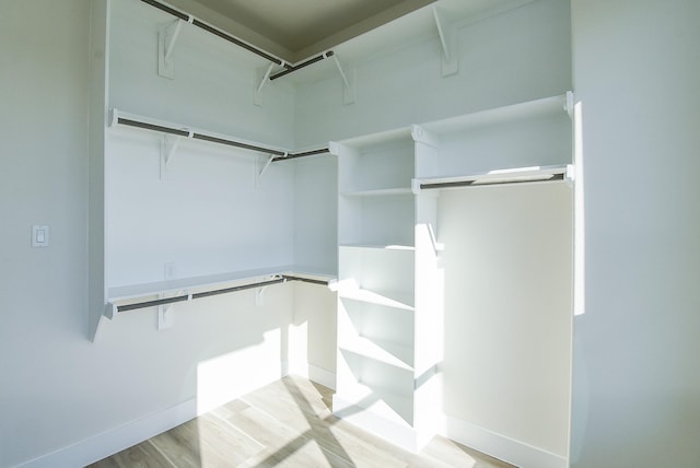 spacious closet with light wood-style flooring