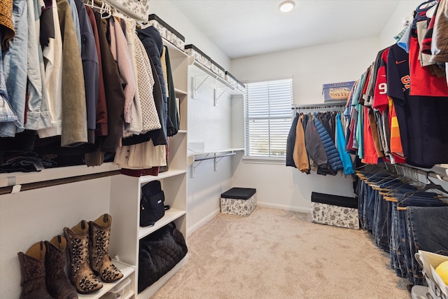 walk in closet with carpet floors