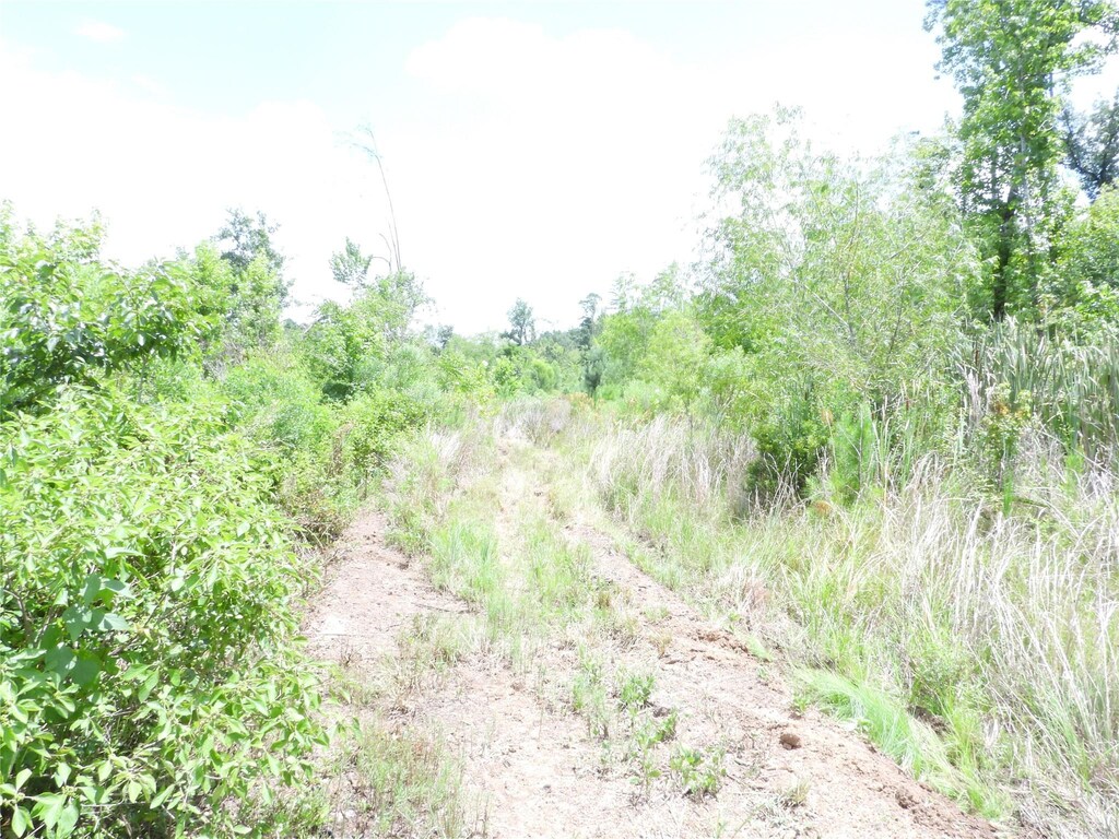 TBD Snowhill Rd, Coldspring, TX 77331