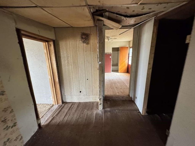 hallway featuring wooden walls and wood finished floors