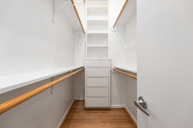 walk in closet with light wood finished floors