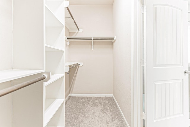 spacious closet featuring carpet floors