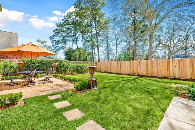 view of yard with a patio area and a fenced backyard