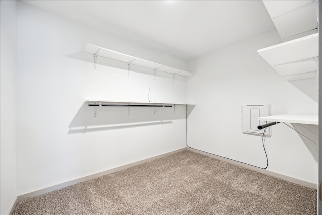 spacious closet featuring carpet