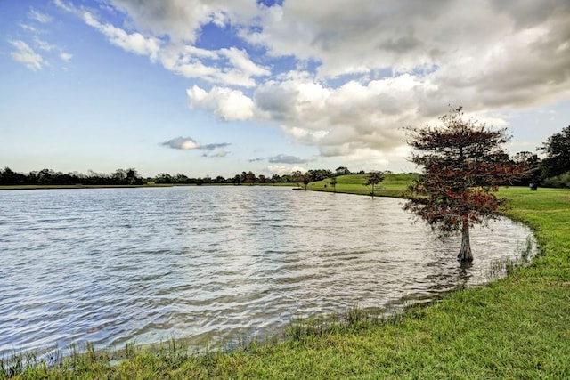 property view of water