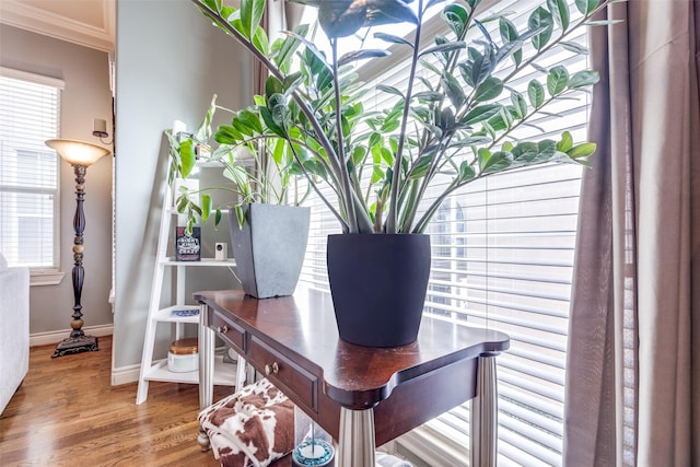 details with baseboards, wood finished floors, and ornamental molding