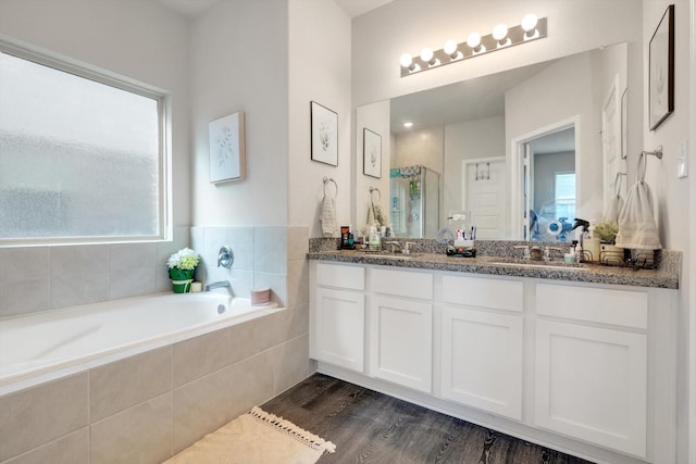 bathroom featuring a sink, plenty of natural light, and a bath