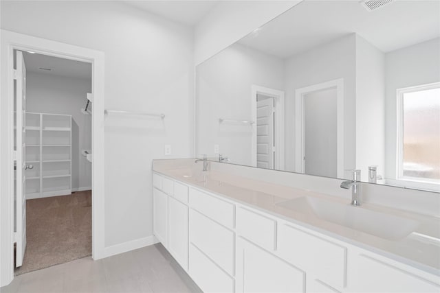 352 Spruce Oak Ln, Waller, TX 77484 - full bathroom with double vanity, a spacious closet, and baseboards