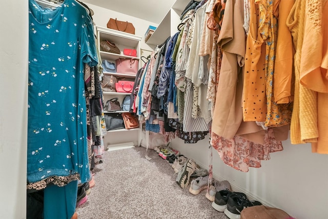 walk in closet featuring carpet floors