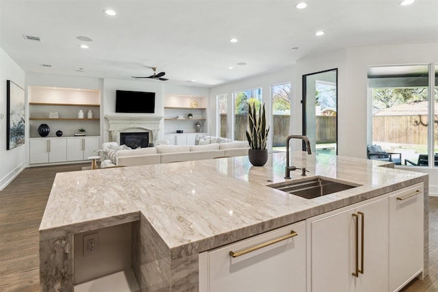 kitchen featuring a sink, dark wood-style floors, a wealth of natural light, and an island with sink