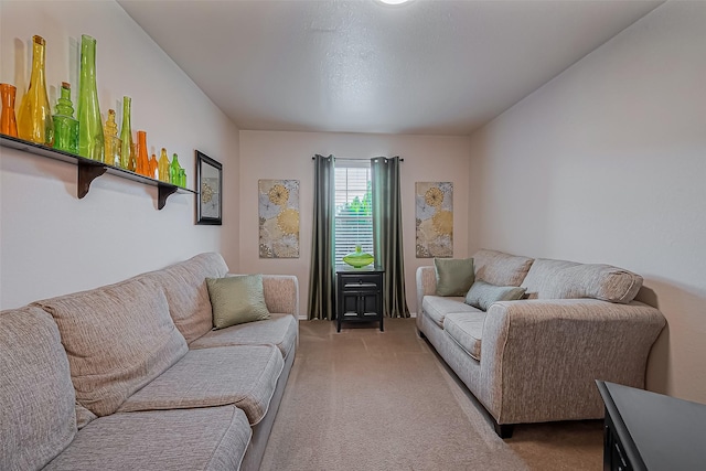 view of carpeted living area