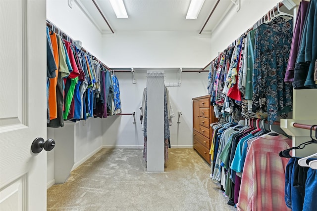 walk in closet with carpet