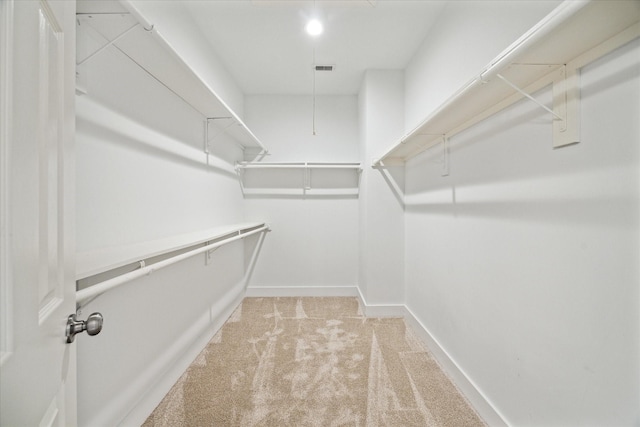 spacious closet featuring carpet flooring