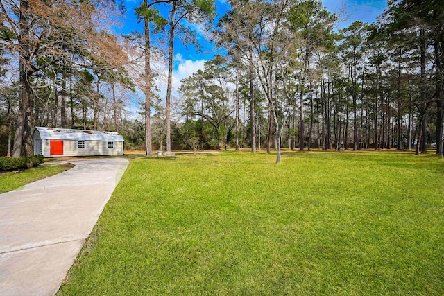 view of yard with concrete driveway