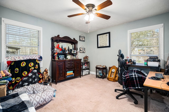 office space with carpet flooring, plenty of natural light, a textured ceiling, and a ceiling fan