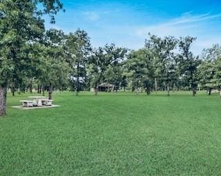 26512 Fawn Dr, Hempstead, TX 77445 - photo 14