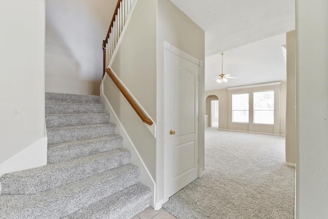 stairs featuring arched walkways, carpet flooring, and ceiling fan