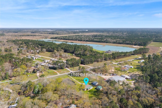 drone / aerial view featuring a water view and a view of trees