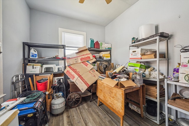 storage with a ceiling fan