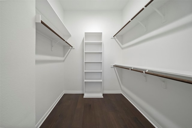 spacious closet with dark wood-style floors