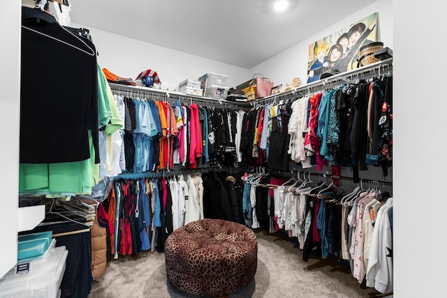 walk in closet featuring carpet