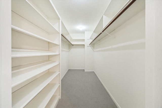 walk in closet with carpet