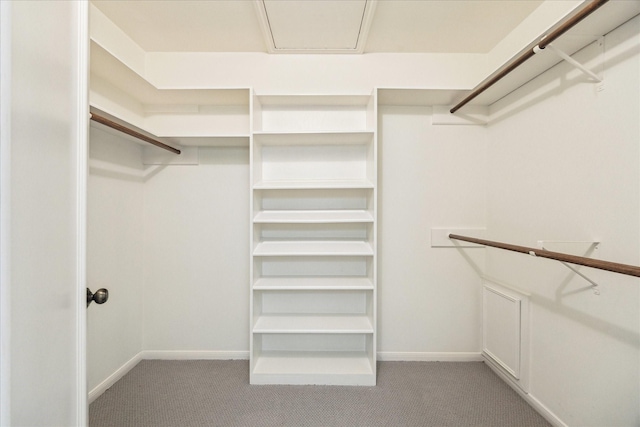 spacious closet with light colored carpet