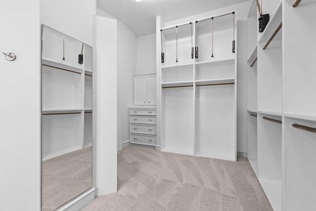 spacious closet with light carpet