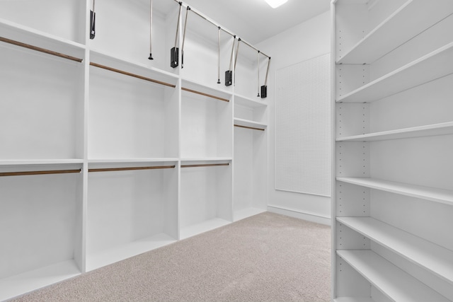 walk in closet with carpet floors