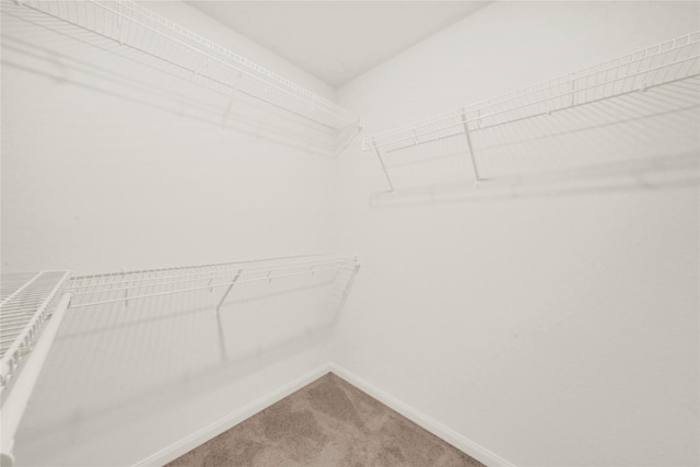 walk in closet with light carpet